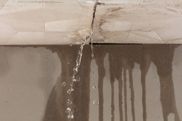 Professional Burst Pipe Cleanup technician working in Berwyn, IL